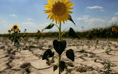 El desarrollo de proyectos requiere la aplicación de conceptos modernos de gestión ambiental